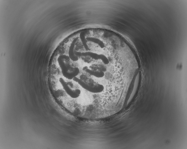 X0000111170895200908121044