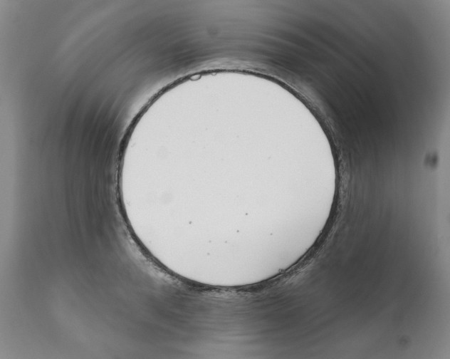 X0000111170896200908121044