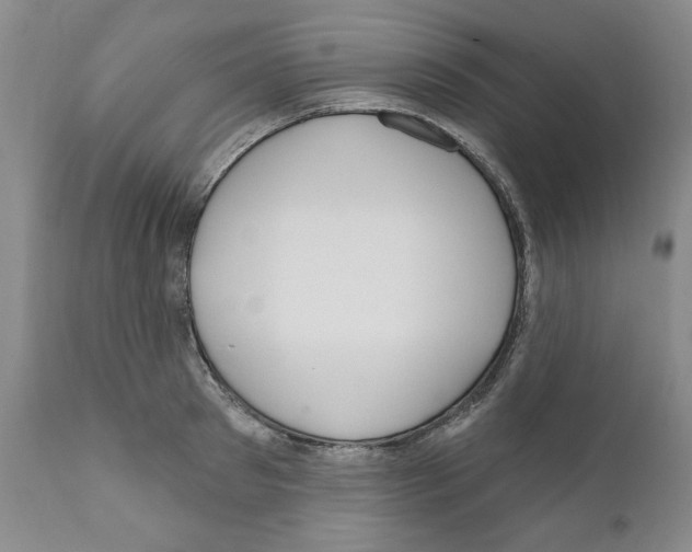 X0000111170897200908121044