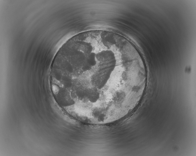 X0000111170899200908121044