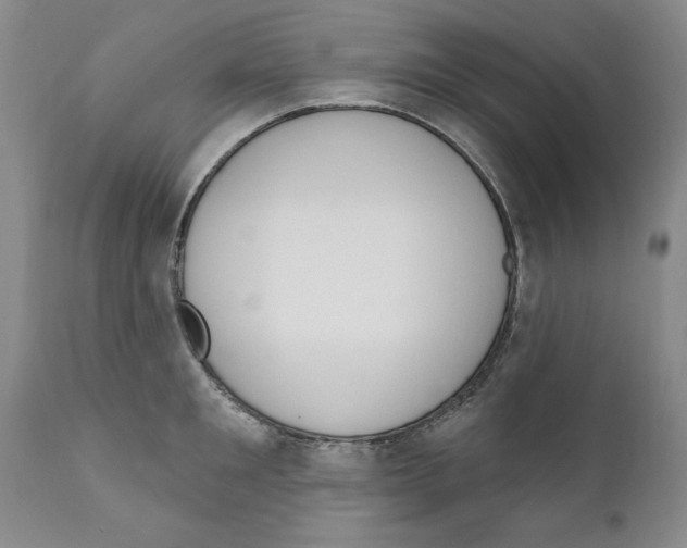 X0000111170901200908121044