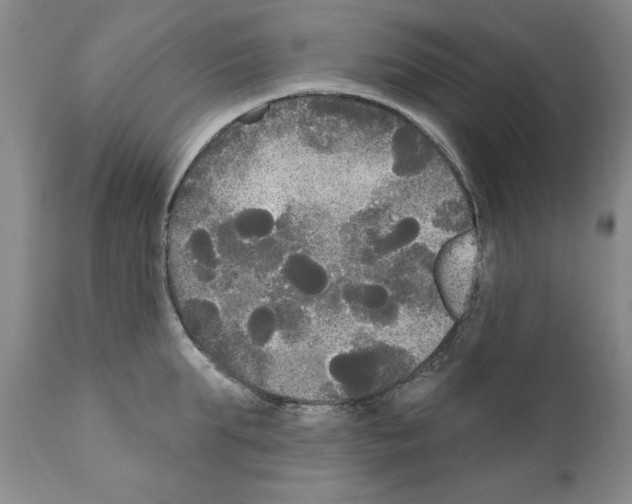 X0000111170903200908121044