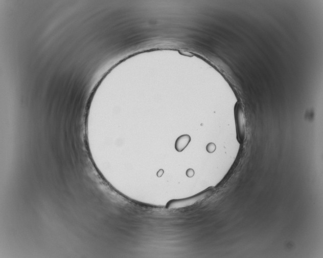 X0000111170904200908121044