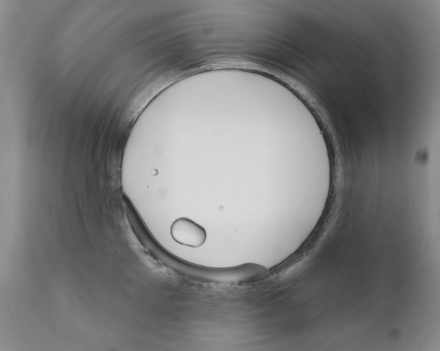 X0000111170905200908121044