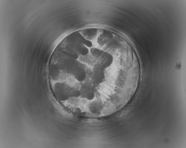 X0000111170907200908121044