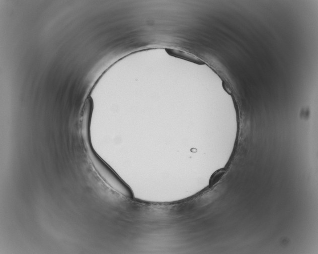 X0000111170908200908121044