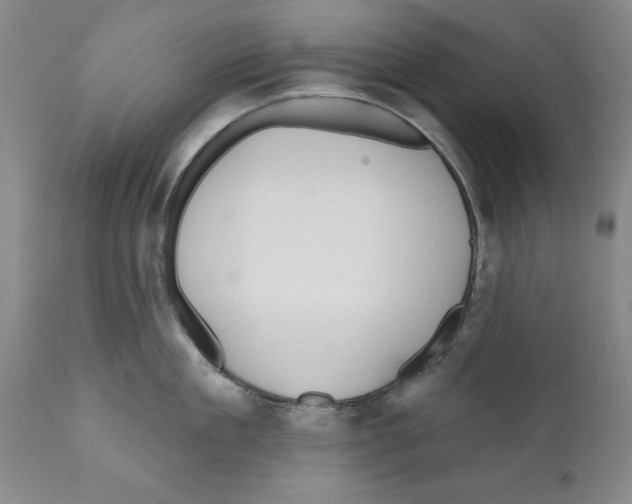 X0000111170909200908121044