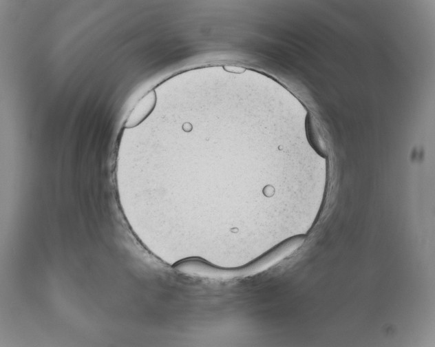 X0000111170912200908121044