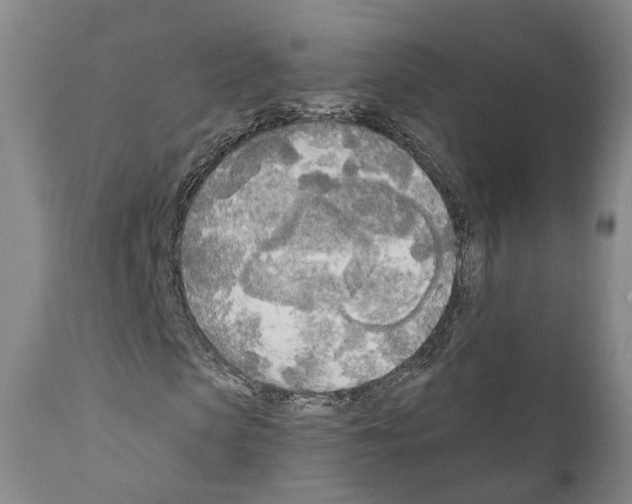 X0000111170913200908121043