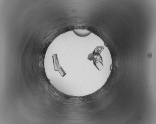 X0000111170914200908121043