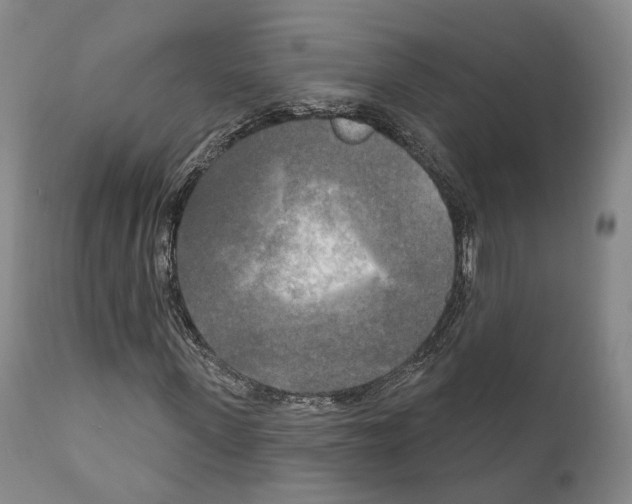 X0000111170915200908121043