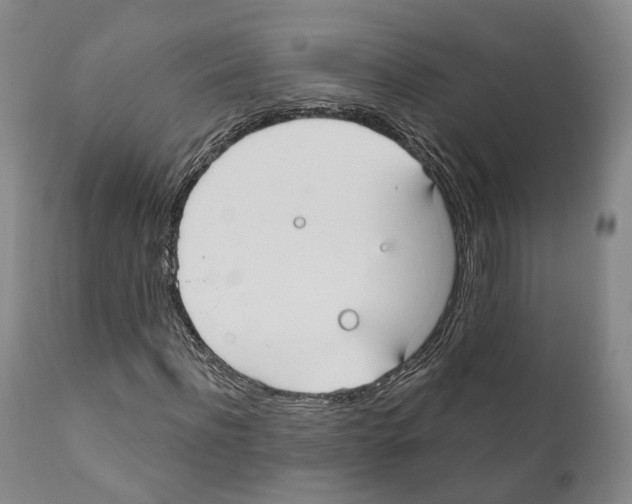 X0000111170916200908121043