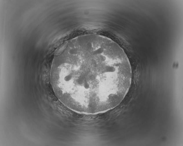 X0000111170917200908121043