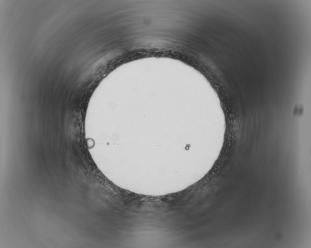 X0000111170918200908121043