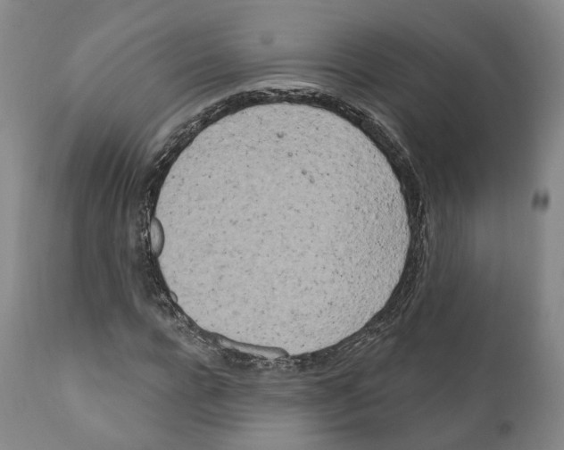 X0000111170920200908121043