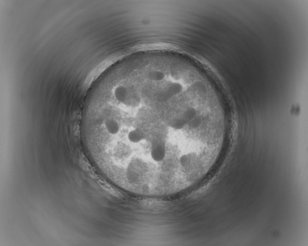 X0000111170921200908121043