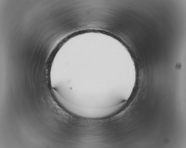 X0000111170926200908121043