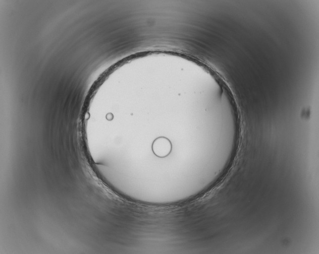 X0000111170928200908121043