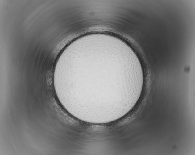 X0000111170929200908121043