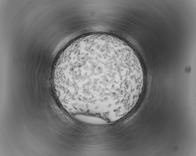 X0000111170930200908121043