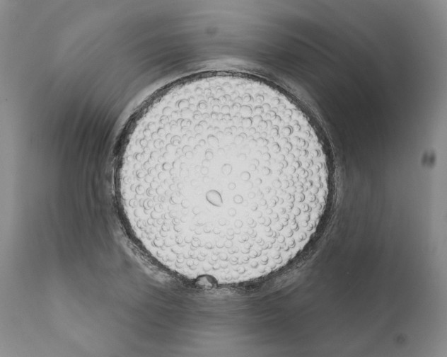 X0000111170931200908121043