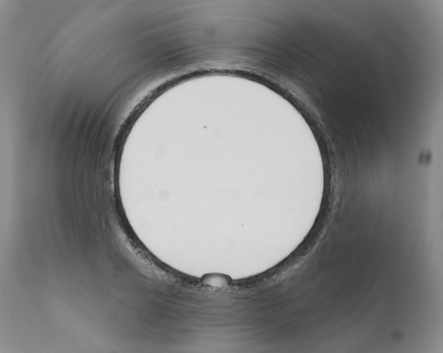 X0000111170934200908121043