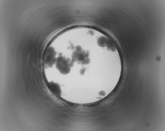 X0000111170935200908121043