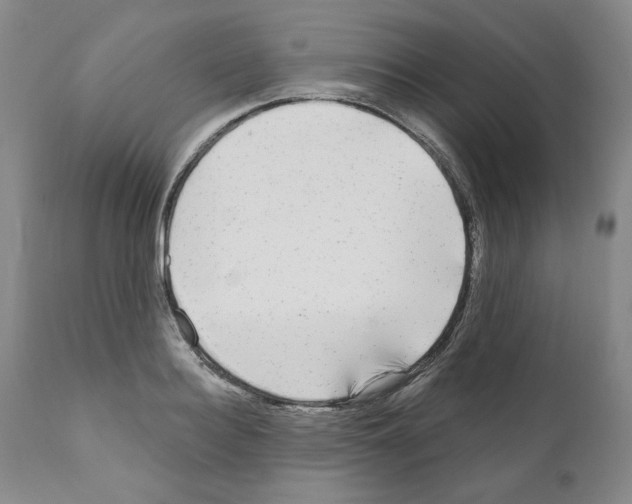 X0000111170940200908121043