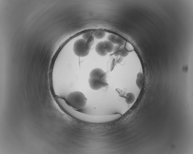 X0000111170943200908121043