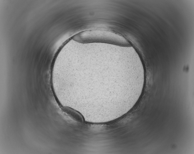 X0000111170944200908121043