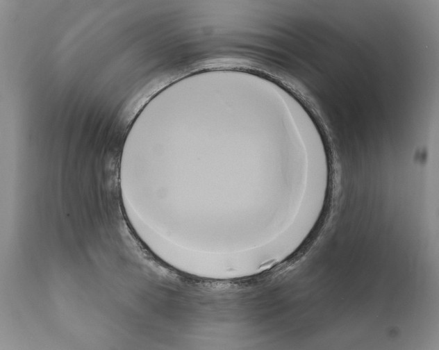 X0000111170945200908121043