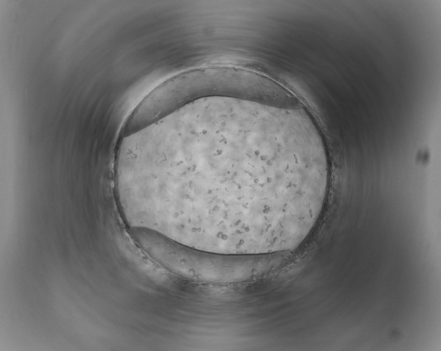 X0000111170948200908121043