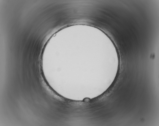 X0000111170949200908121043