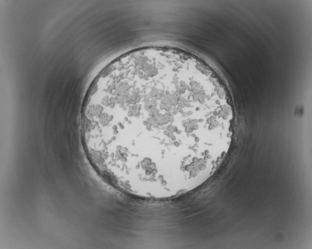 X0000111170951200908121043