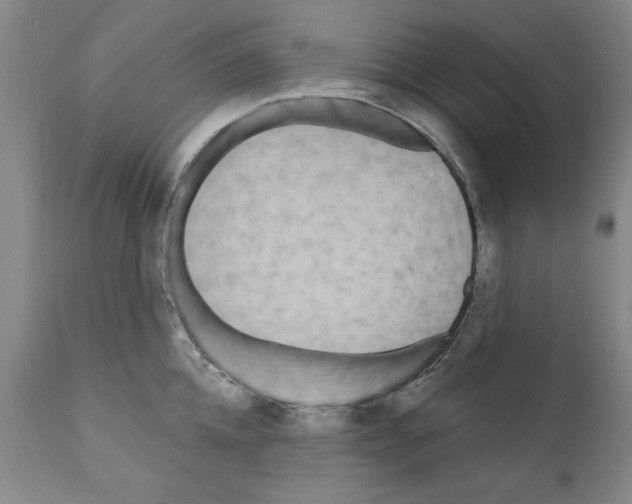 X0000111170952200908121043