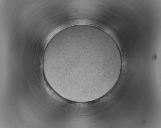 X0000111170954200908121043