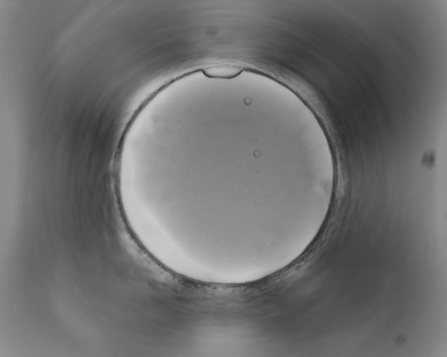 X0000111170958200908121044