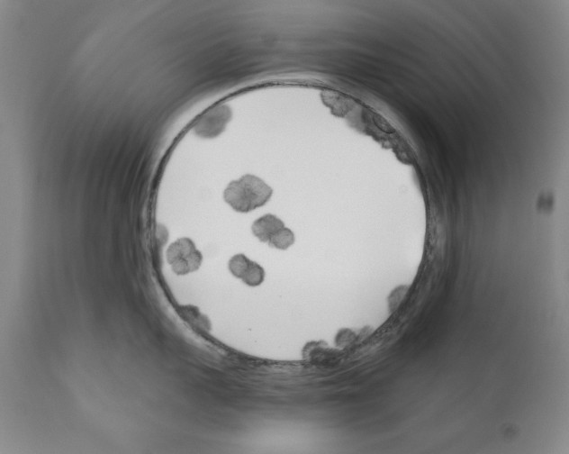 X0000111170959200908121044