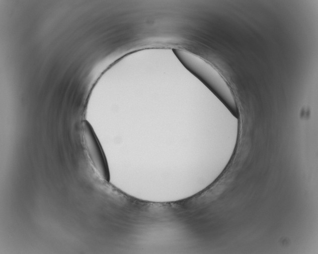 X0000111170960200908121044