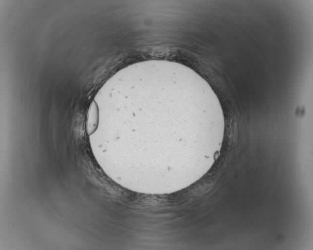 X0000111170962200908121043