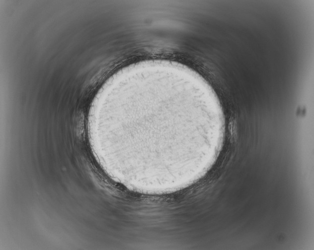 X0000111170963200908121043