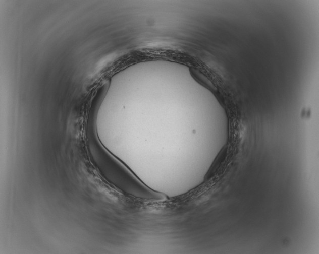 X0000111170965200908121043