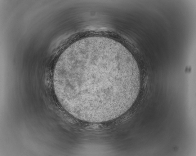 X0000111170966200908121043