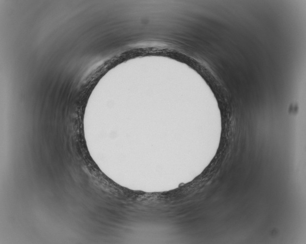 X0000111170967200908121043