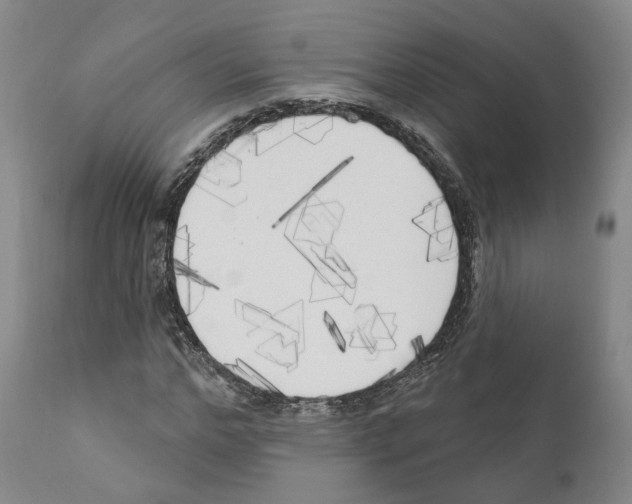 X0000111170968200908121043