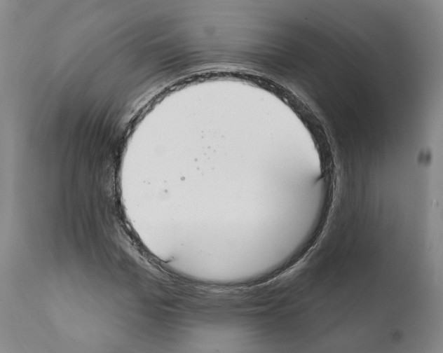 X0000111170969200908121043