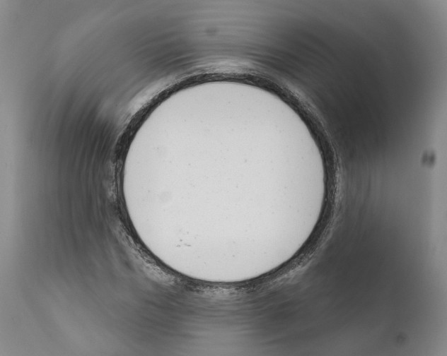 X0000111170970200908121043