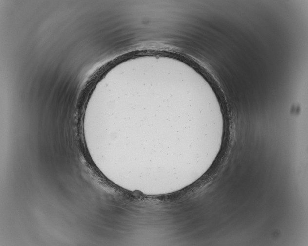 X0000111170971200908121043