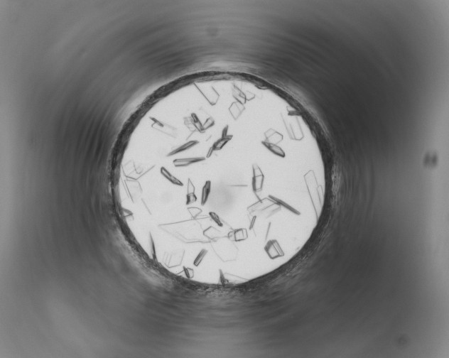 X0000111170972200908121043