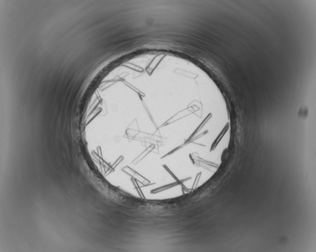 X0000111170976200908121042